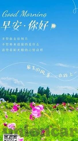 91麻豆黄色视频-挖掘文化现象，从91麻豆黄色视频透视网络时代下的数字娱乐灰色地带