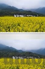 大象传媒短视频破解版-探索大象传媒短视频平台的创新与挑战，用户视角下的内容消费新趋势