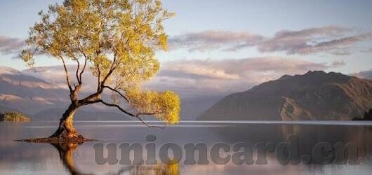 果冻传媒一二区八哥网-探索果冻传媒一二区八哥网的多元魅力