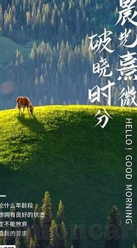 久久精品国产蜜桃av麻豆软件-共赏国风有度，一起品味国产蜜桃的触觉盛宴
