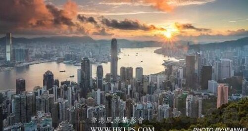 麻豆app-麻豆app，释放创意无界的数字平台