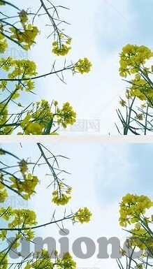 麻豆传媒免费-麻豆传媒免费争议背后的文化与法律界限