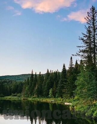 日本亲近相奷中文字幕-探索日本文化中的亲近相奷现象——中文字幕下的微妙情感